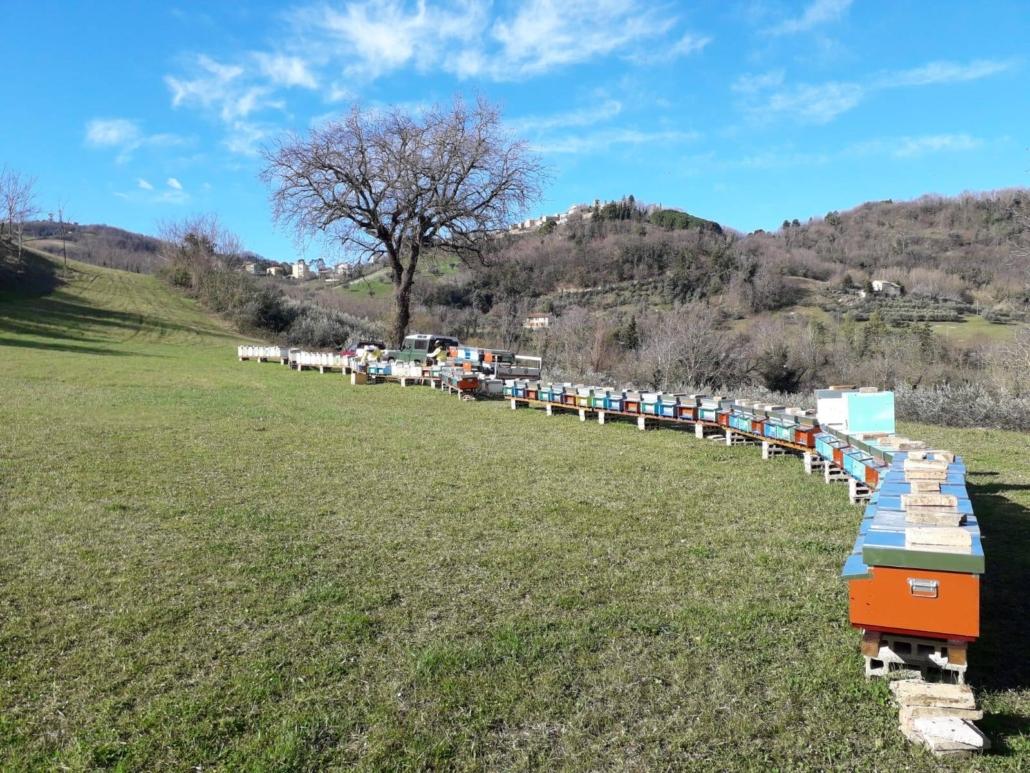 FOTO PER RUOLO DELLA NATURA