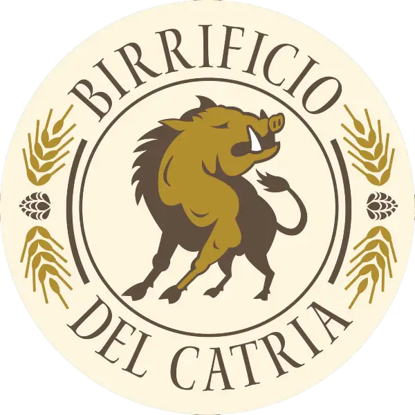 collaborazione
