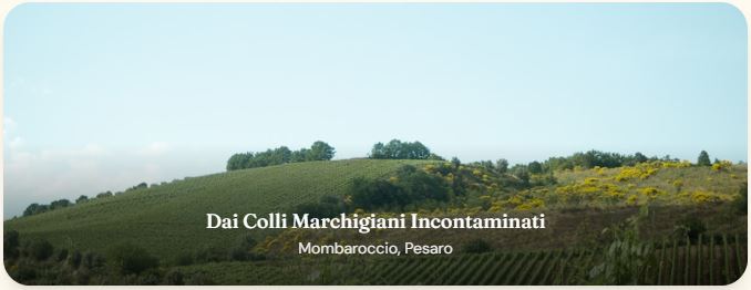 colli marchigiani incontaminati